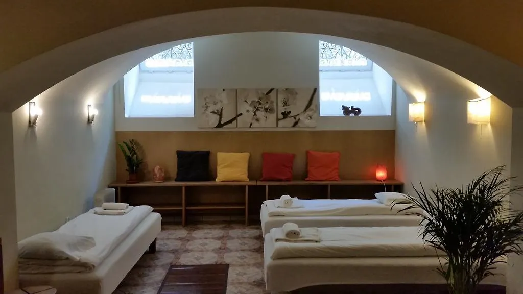 Hotel Pod Labedziem Krakau